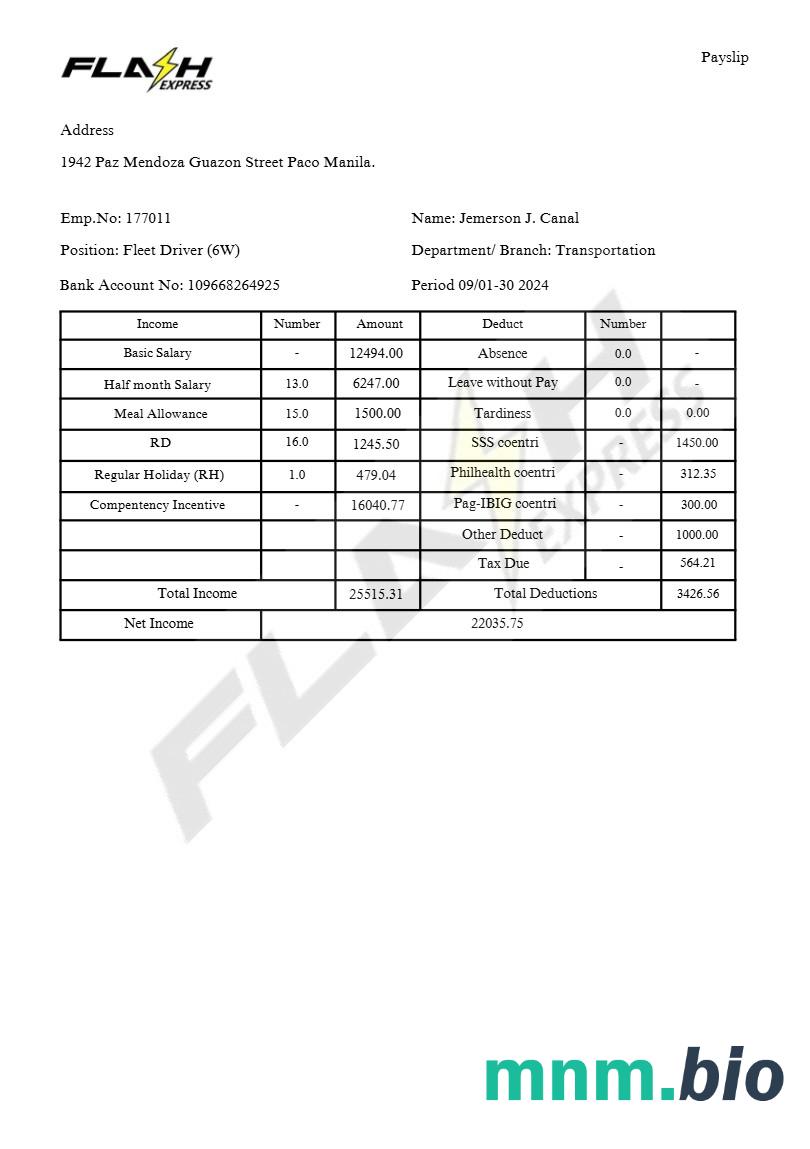 Flash Express Co. szablon payslip w formatach Word i PDF, 2